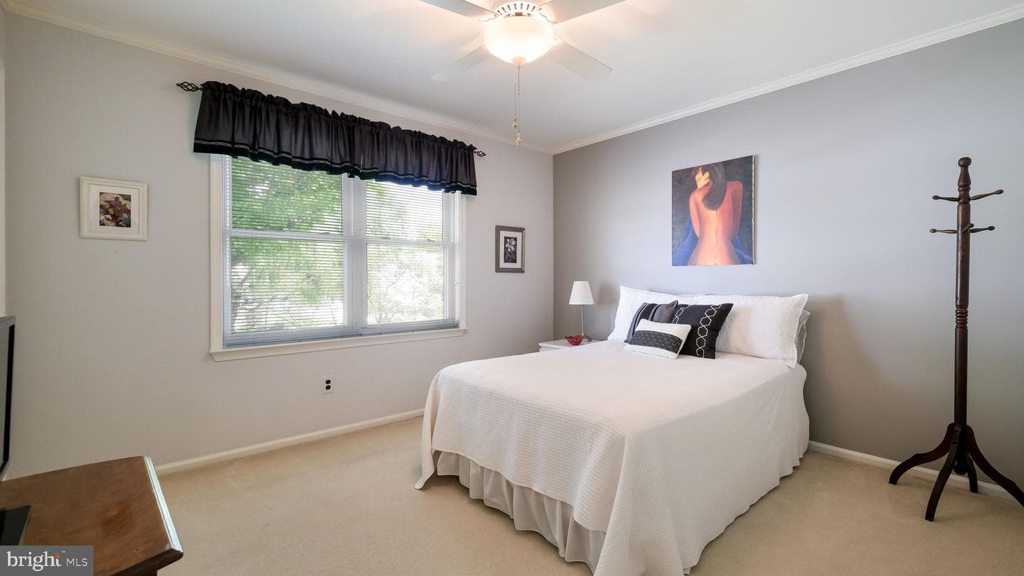 74 Basil Road photo 24
