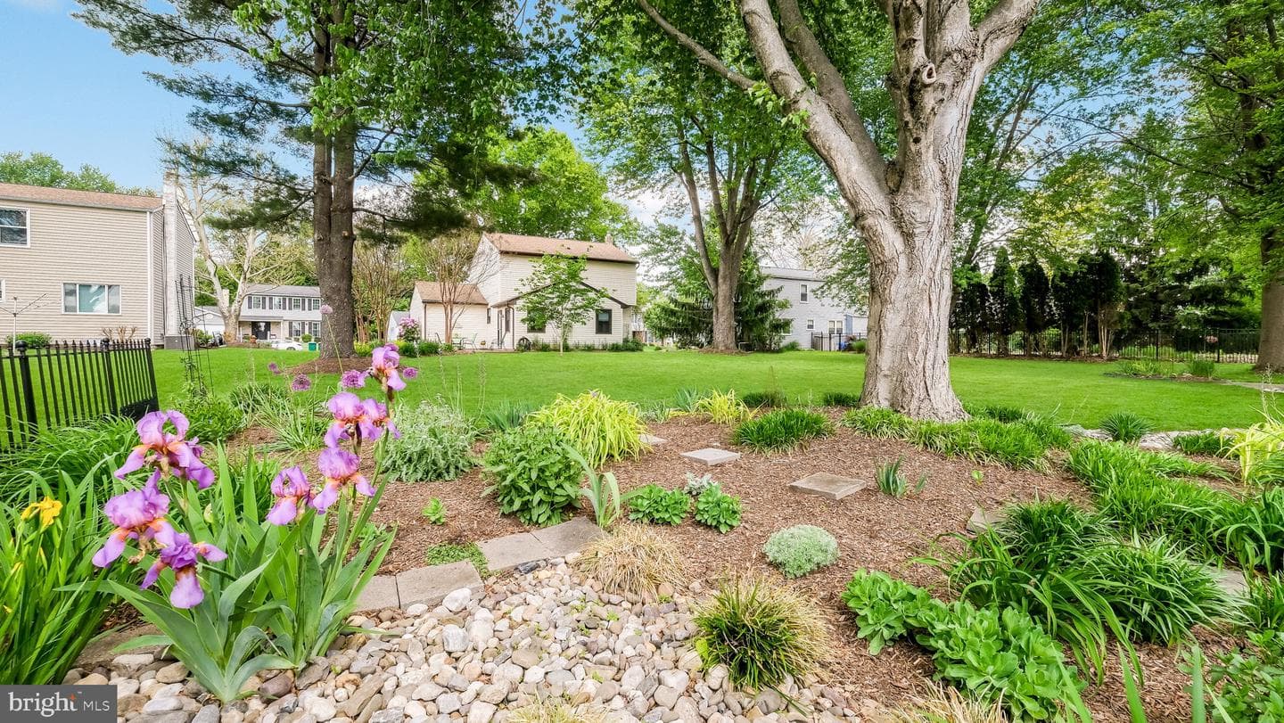 74 Basil Road photo 38
