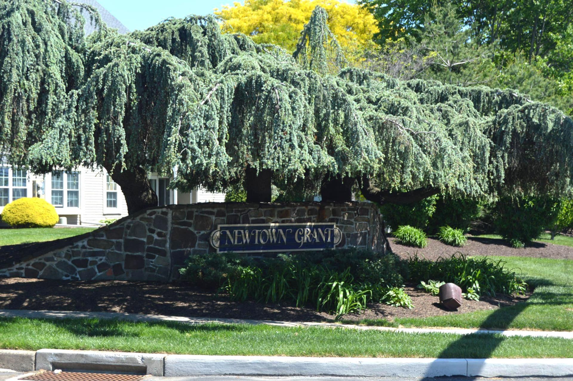 1603 Society Place photo 4