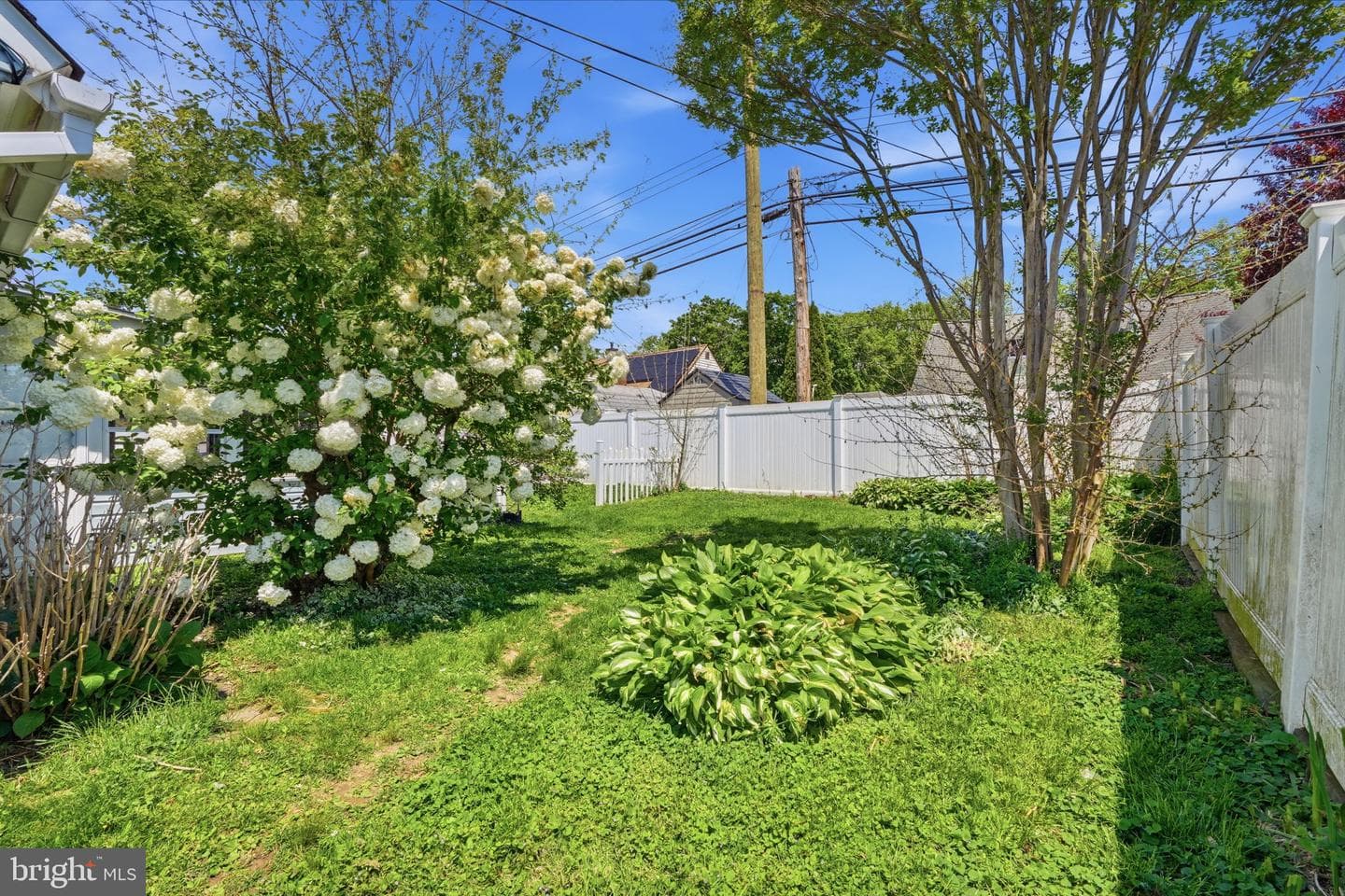 14 Hemlock Road photo 29