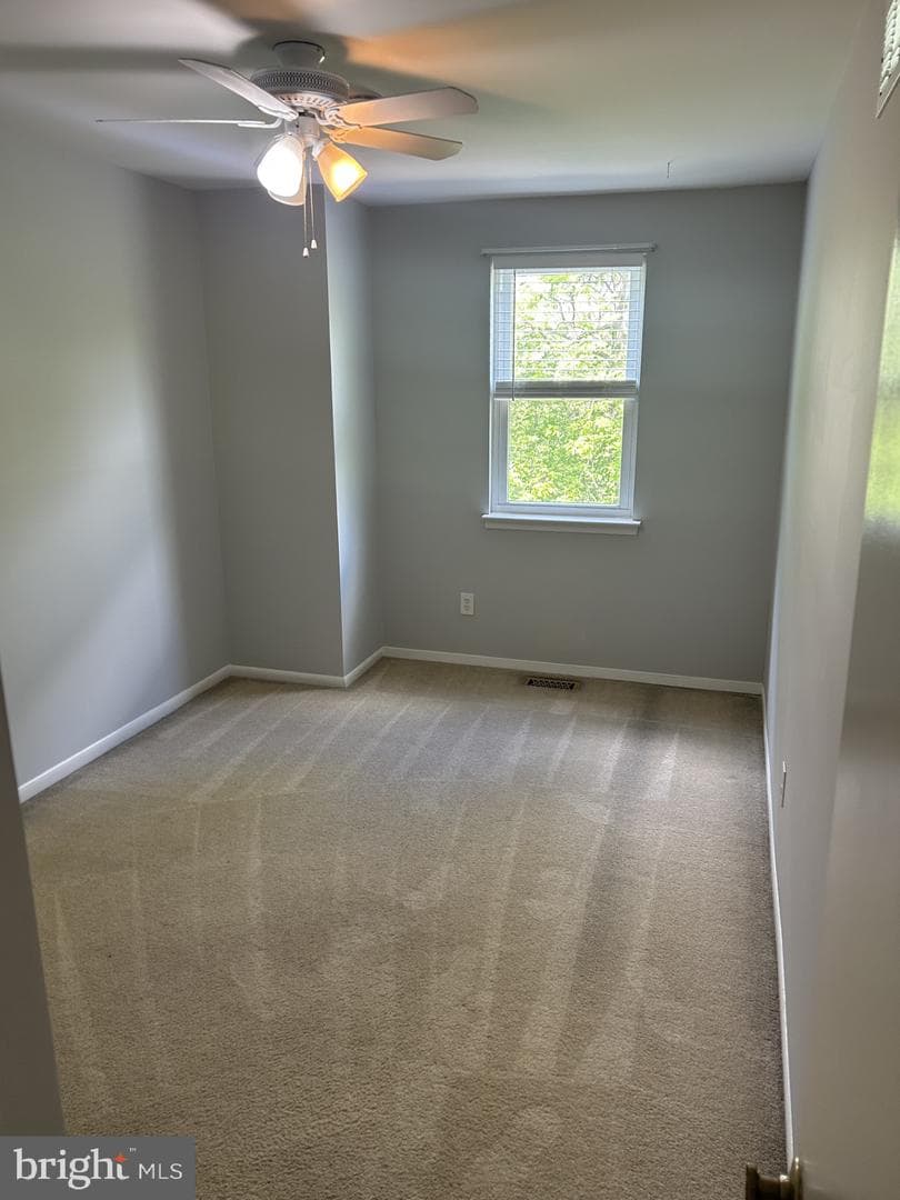 937 Bancroft Place photo 18