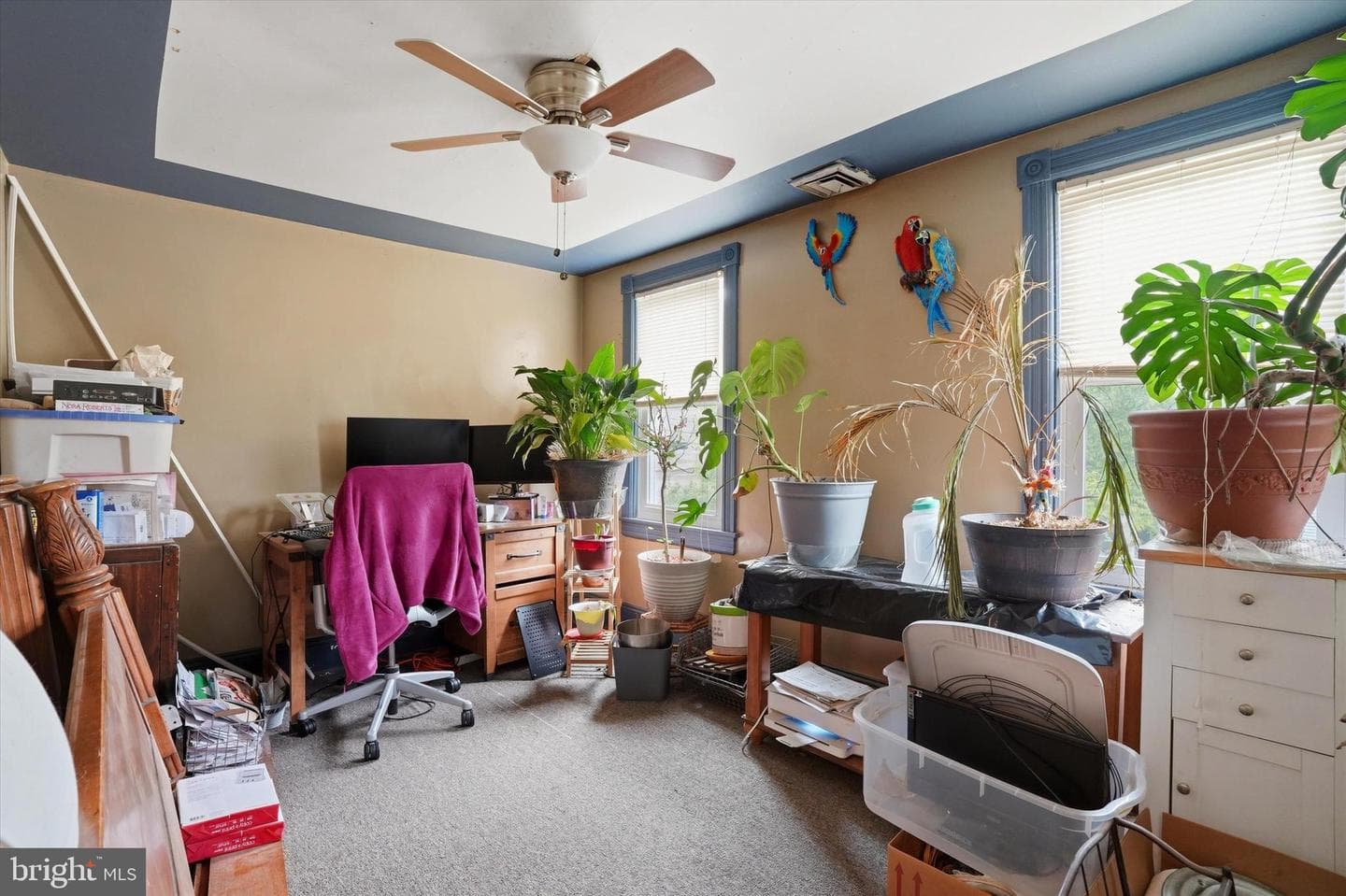 7 E Maple Avenue photo 11