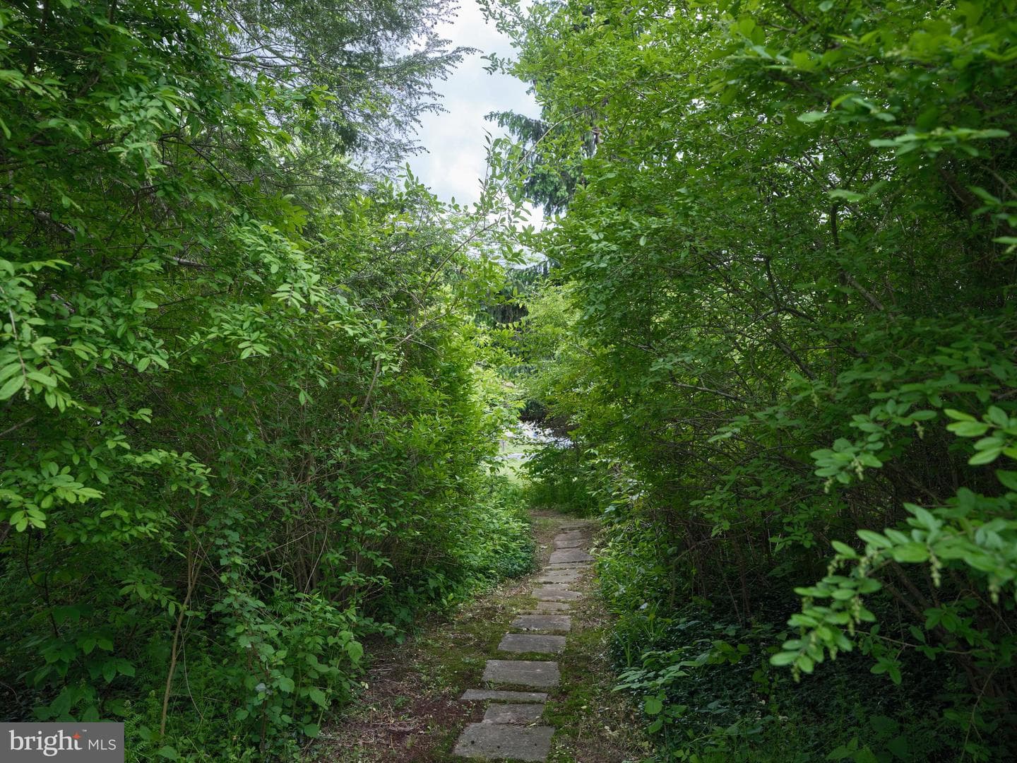 77 Sunset Drive photo 18