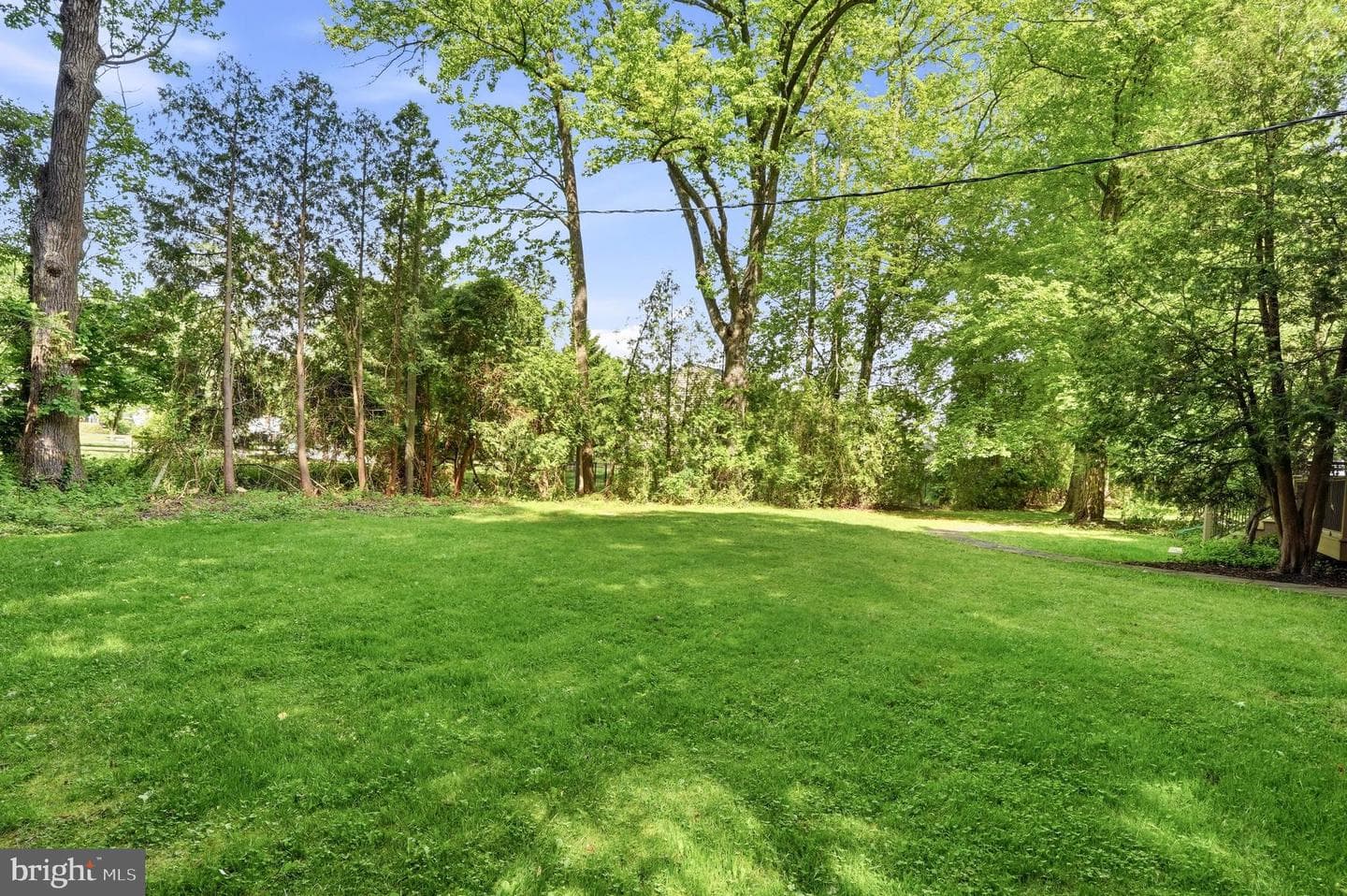 24 Berkley Drive photo 40