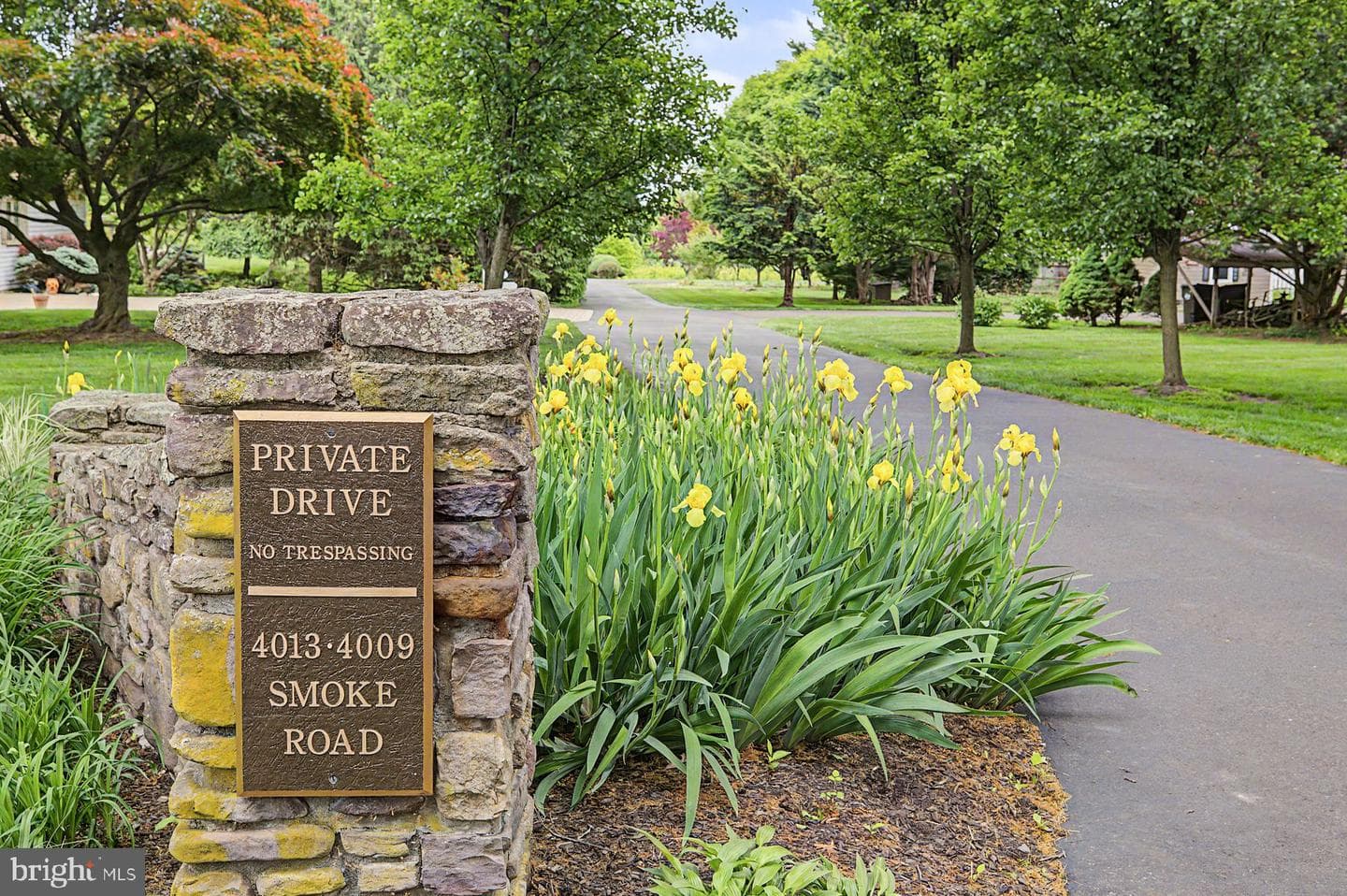 4009 Smoke Road photo 4