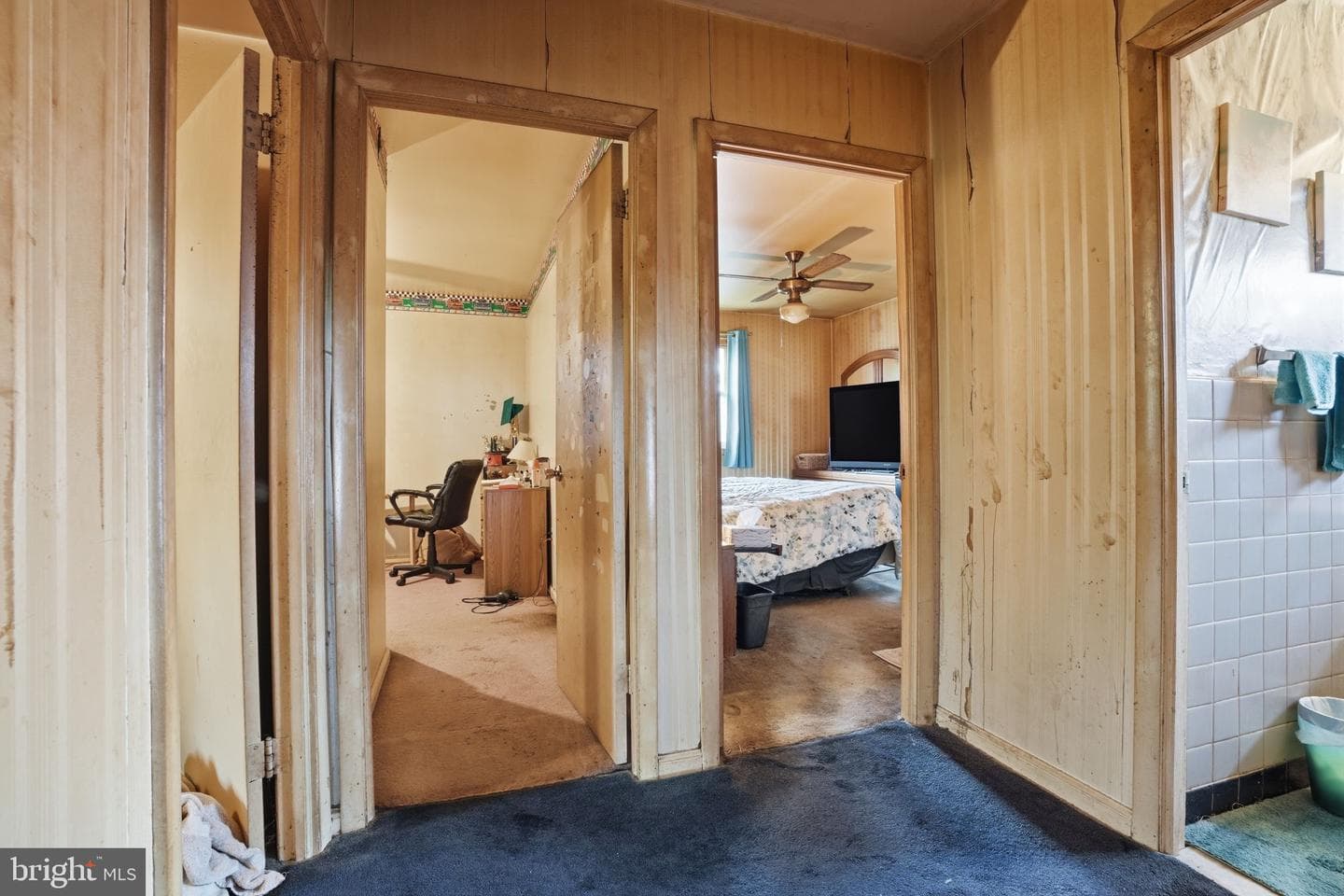 27 Revere Street photo 17