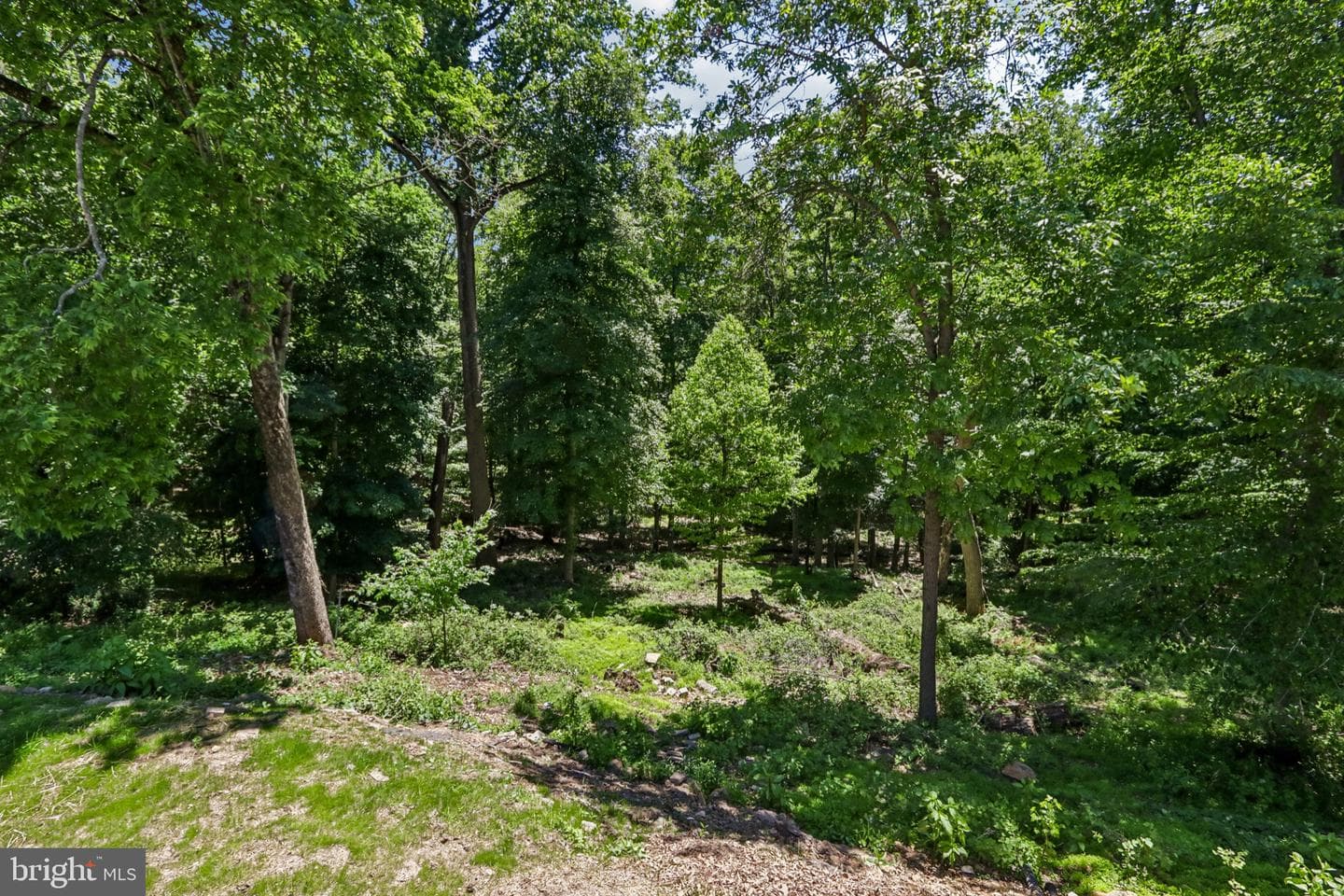 444 Rocksville Road photo 72