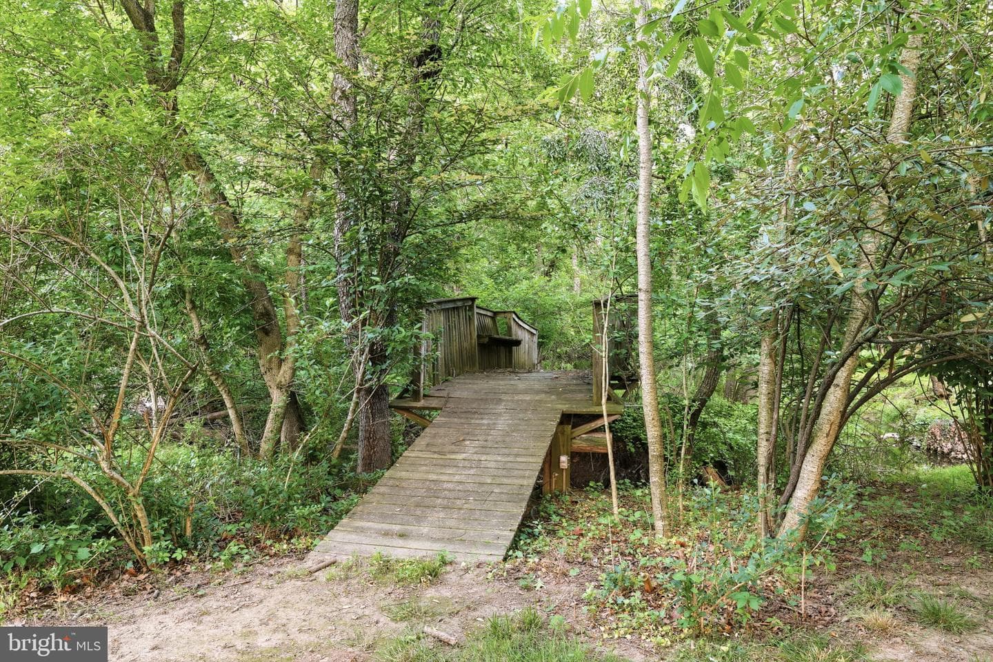 131 Fern Road photo 76