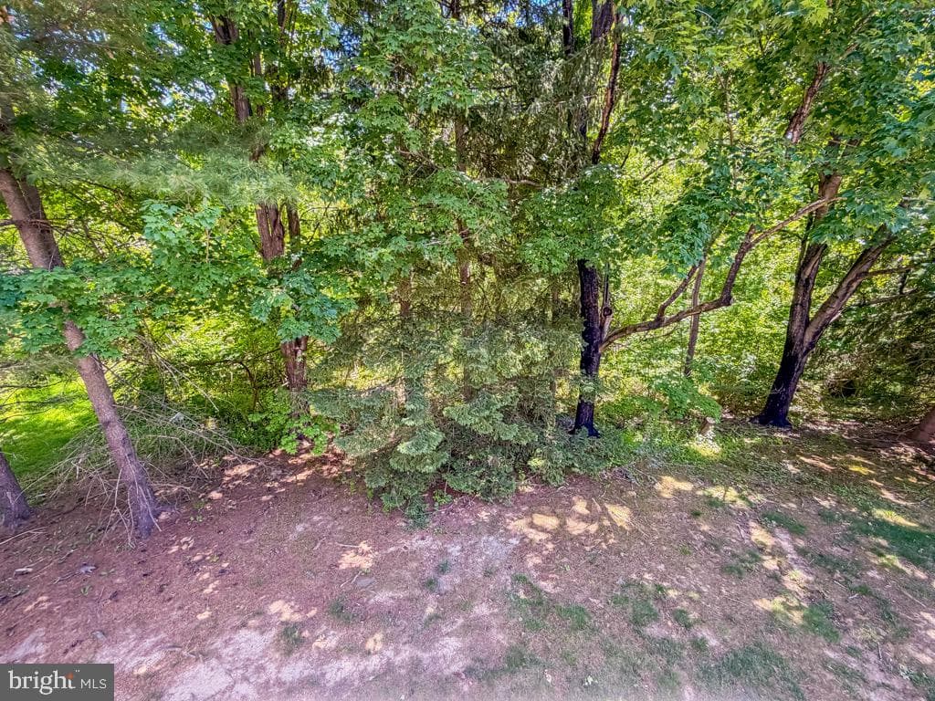 804 Diamond Drive photo 25