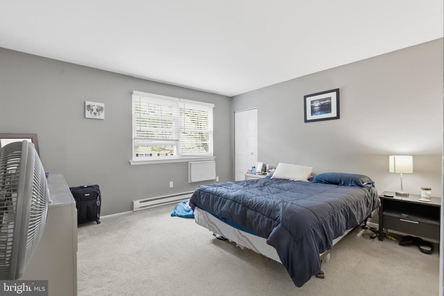 178 Elephant Road #b22 photo 8