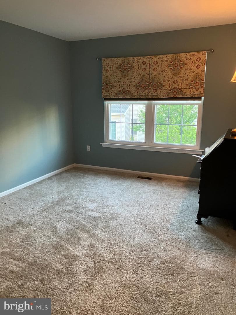 204 Carrington Court photo 25