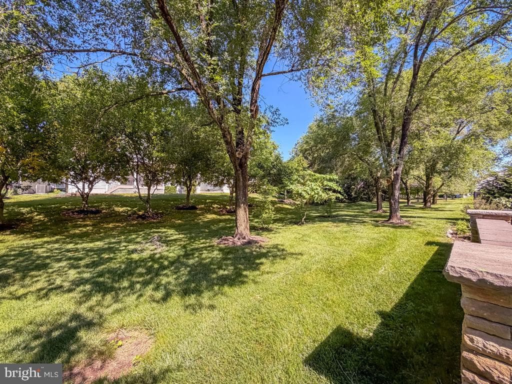 15 Mcconkey Drive photo 72