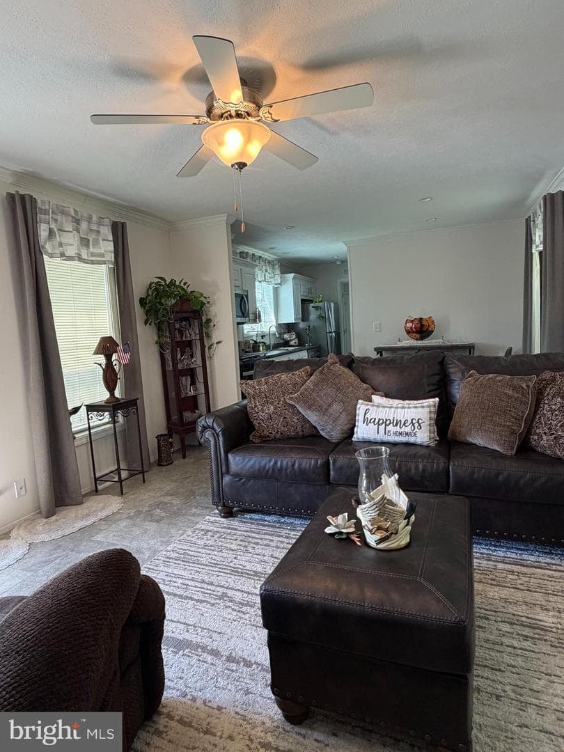 3507 Cannon Drive photo 9