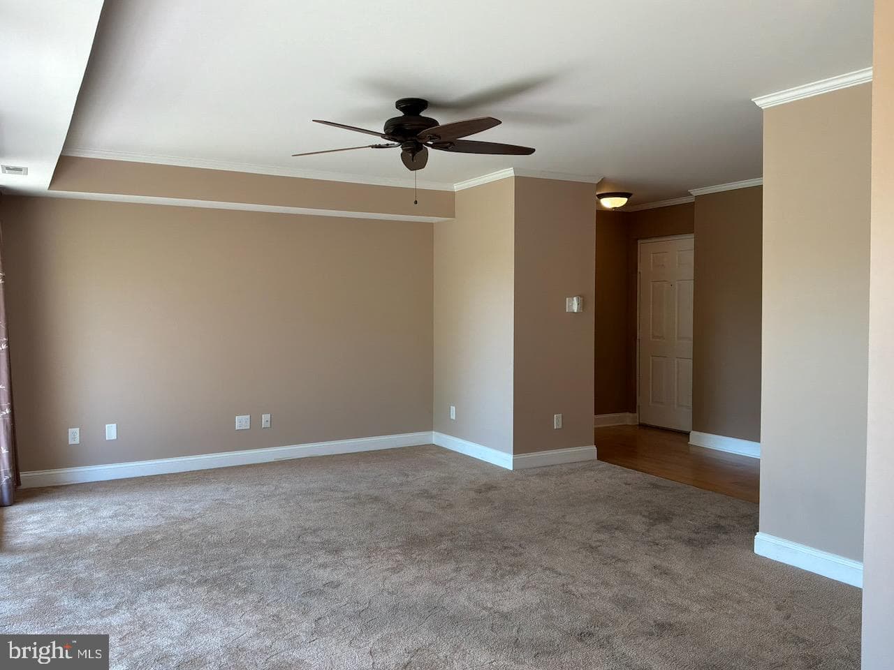 15 Hermitage Drive photo 9