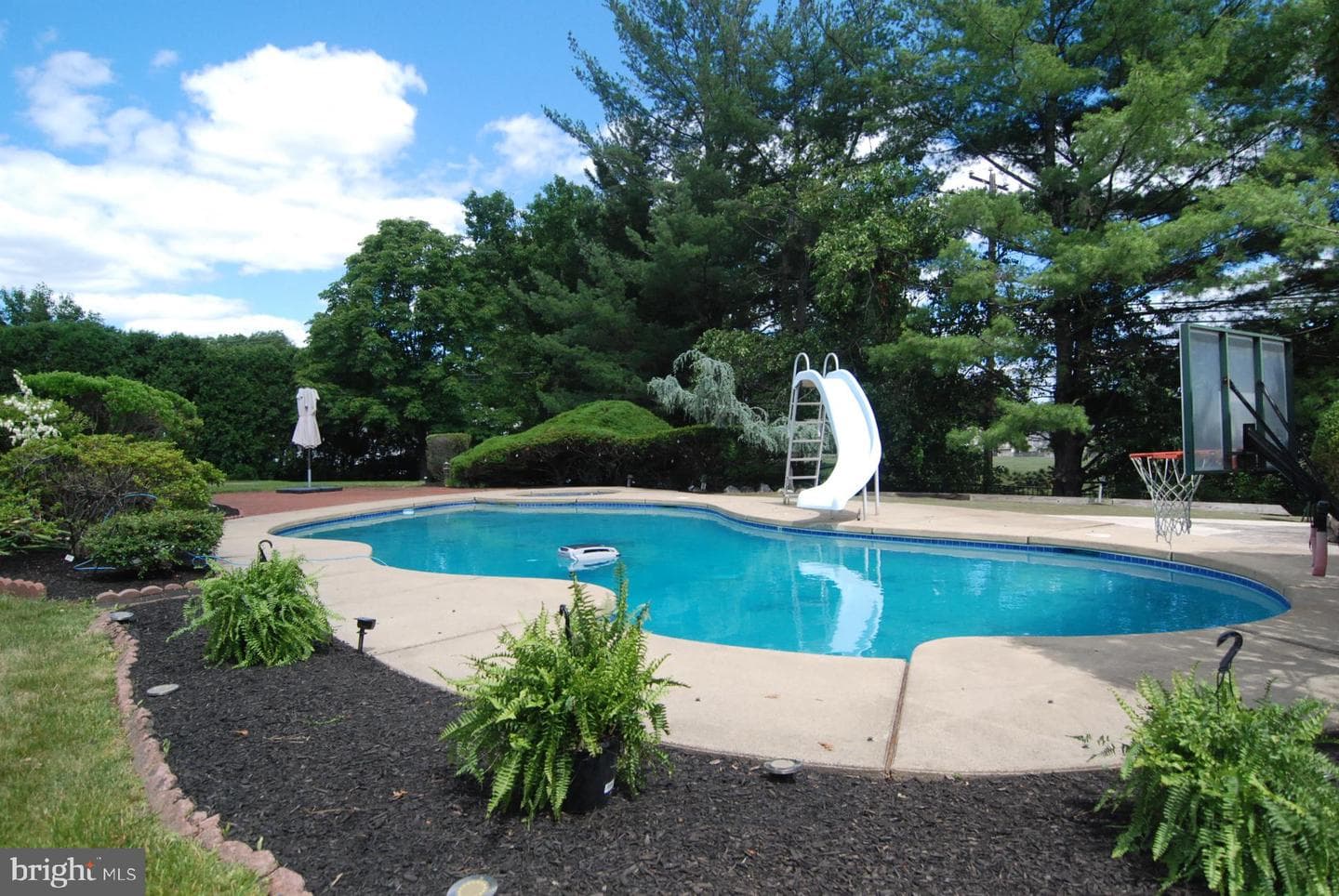 255 Pintail Ct photo 95