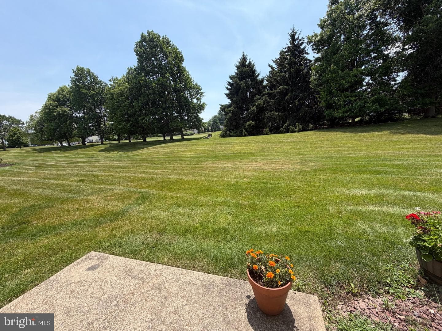 101 Willowoak Court photo 9