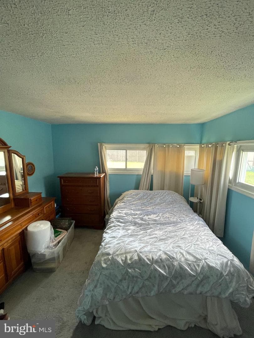 3 Lilac Ln photo 18