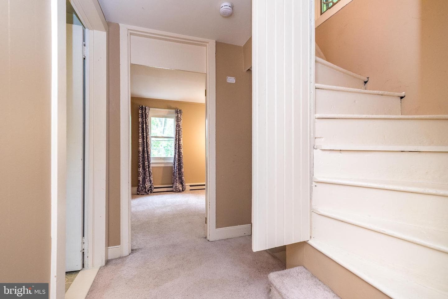 65 Mathews Avenue photo 36