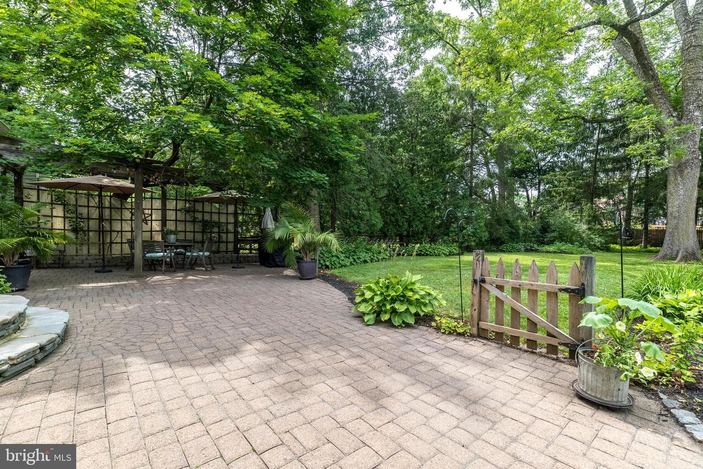 65 Mathews Avenue photo 51
