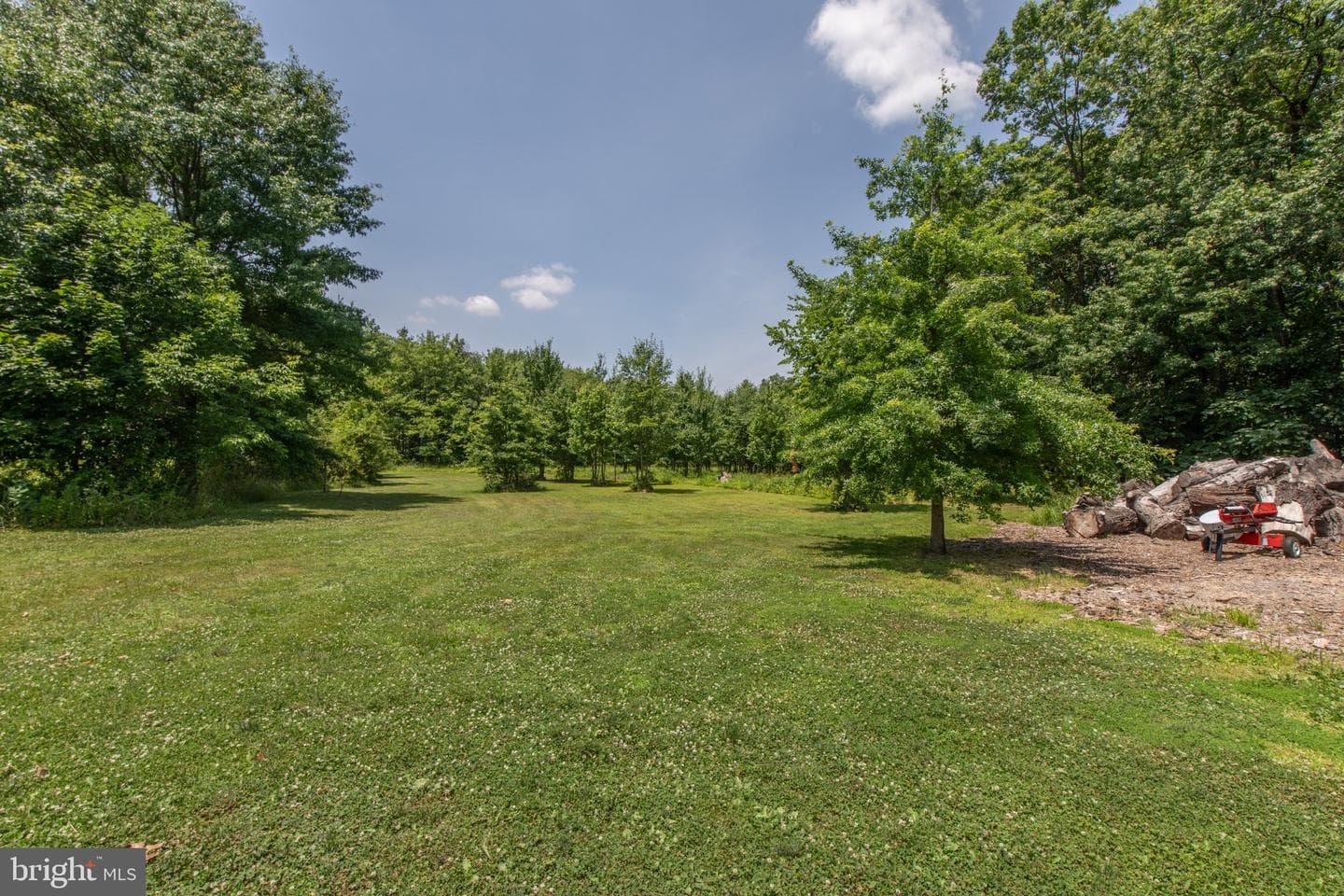 1350 Old Plains Road photo 50
