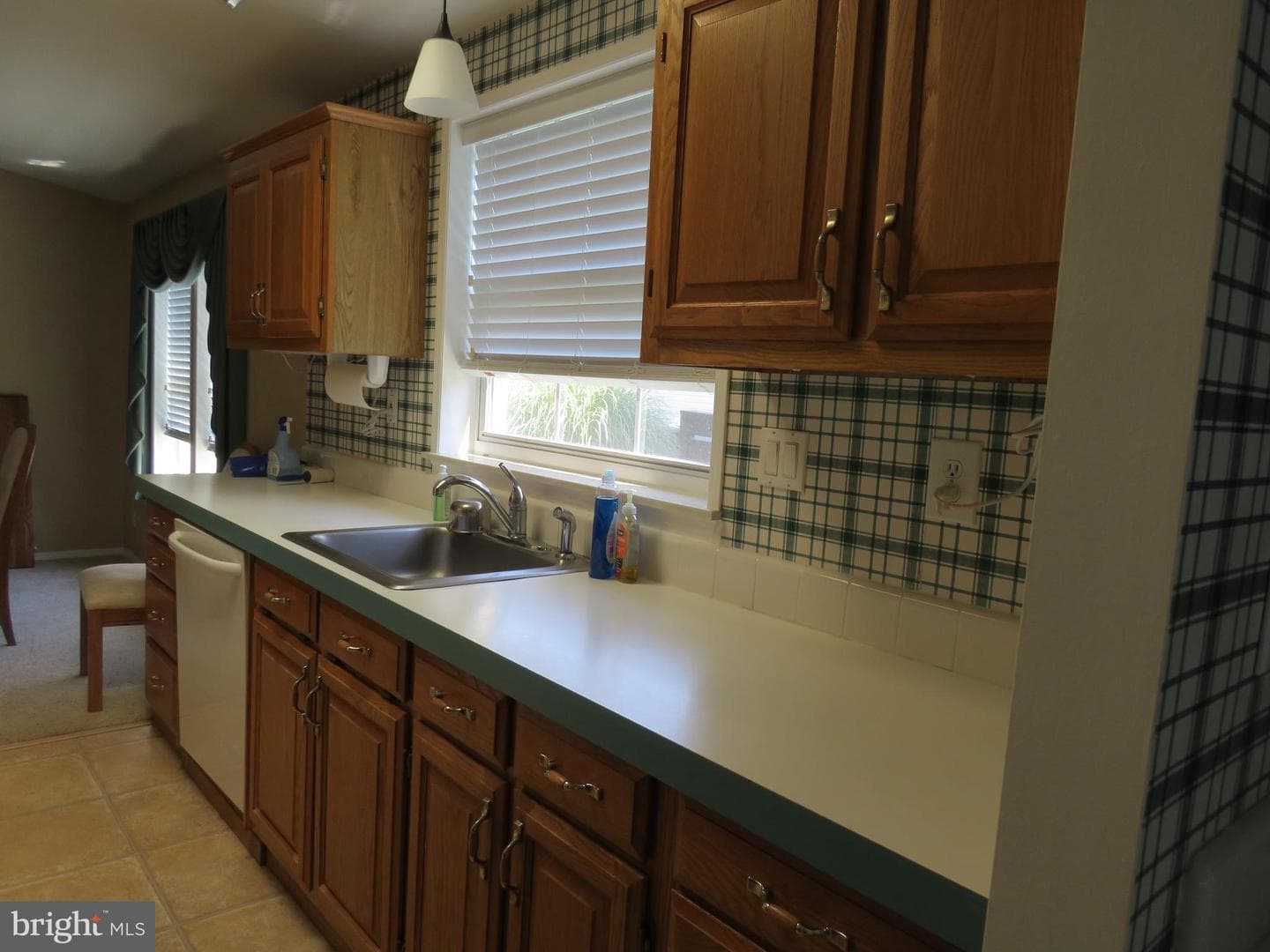 638 Spicebush Court photo 20