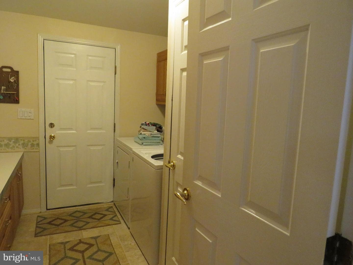 638 Spicebush Court photo 25