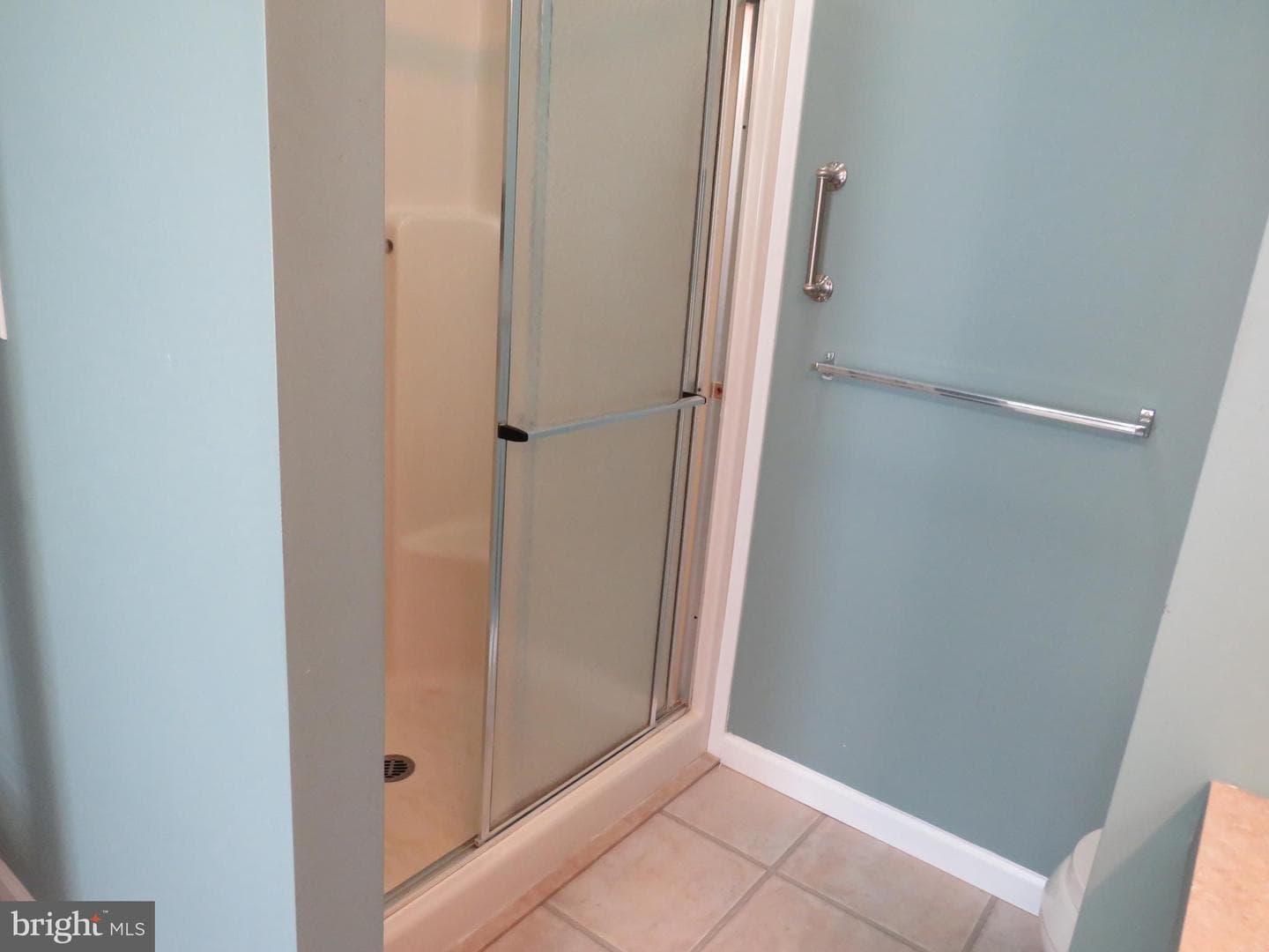 638 Spicebush Court photo 37