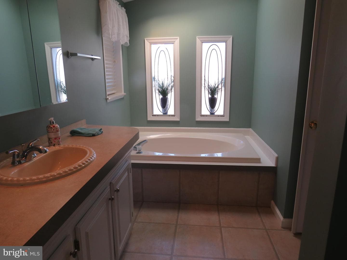 638 Spicebush Court photo 39