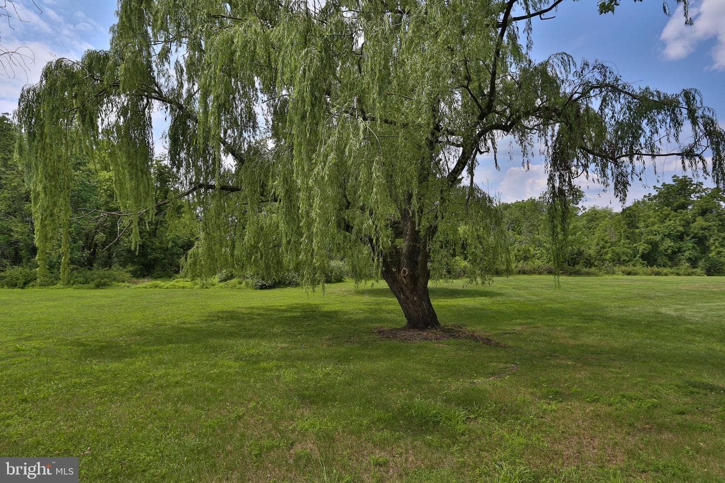 13 Bedford Lane photo 34