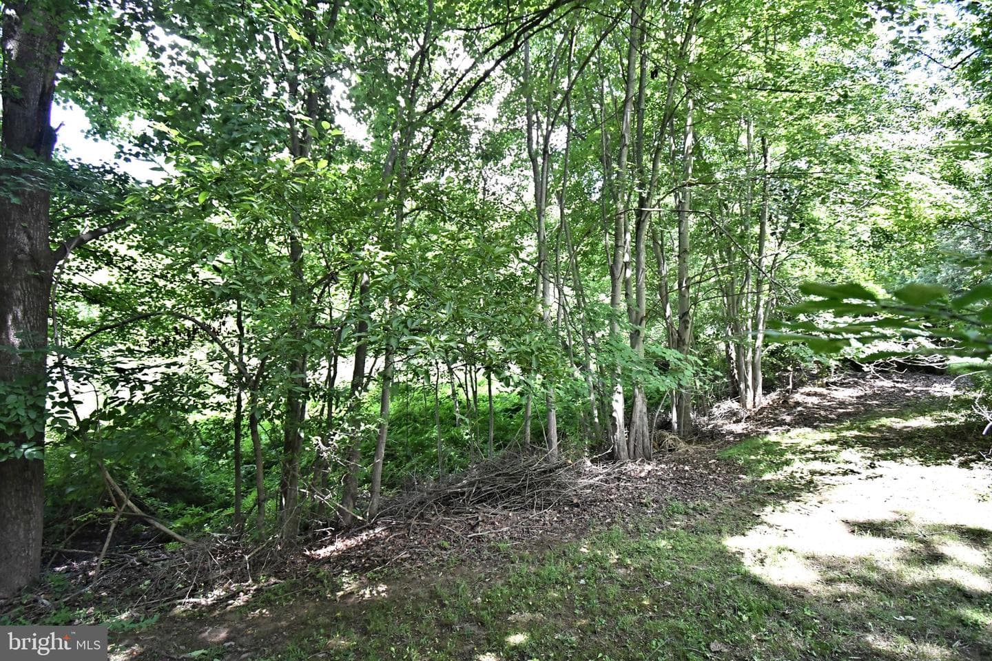 22 Wychwood Lane photo 34