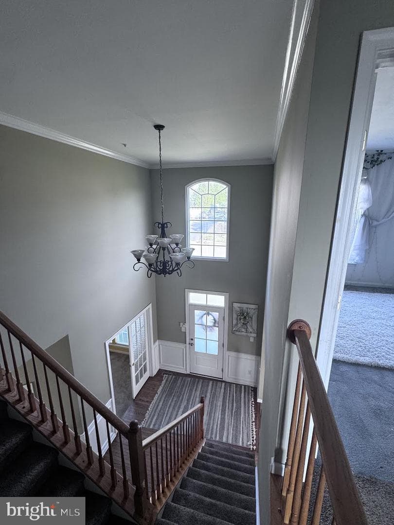 407 Winding Lane photo 14