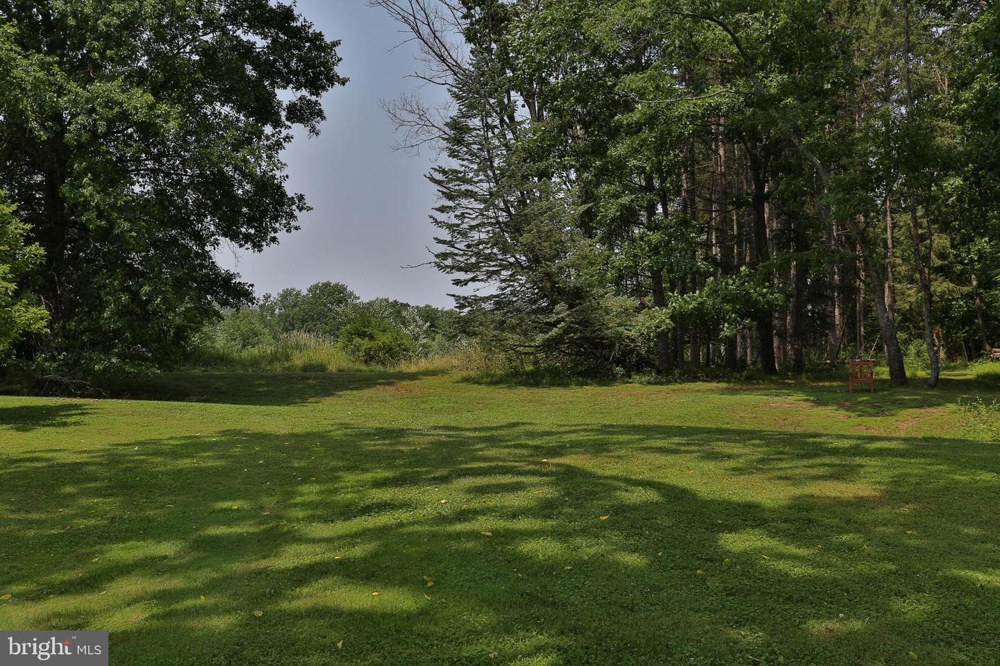 5792 Carversville Road photo 100
