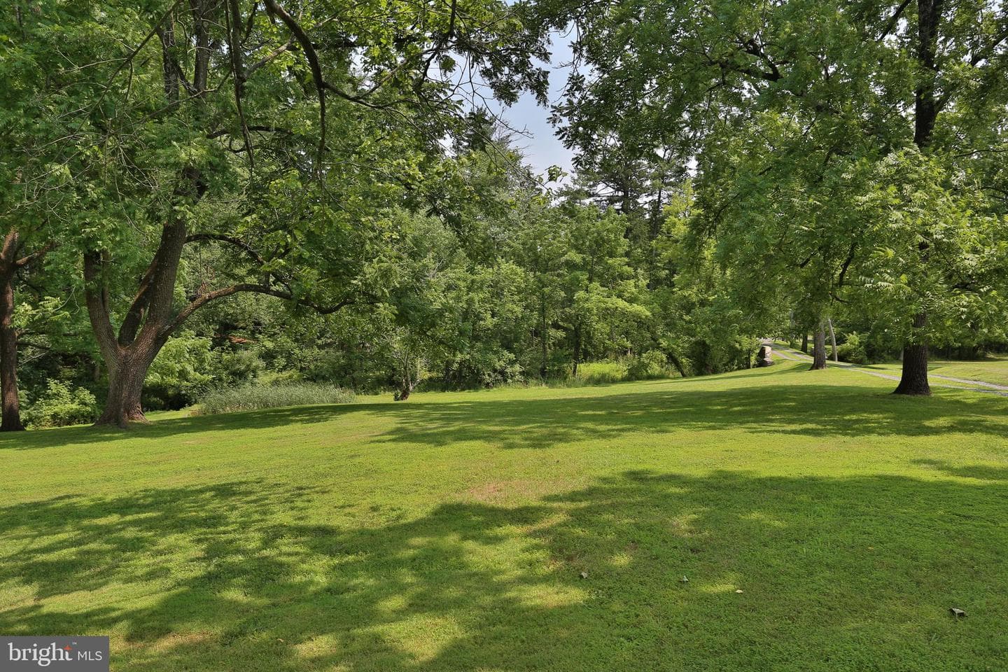 5792 Carversville Road photo 103