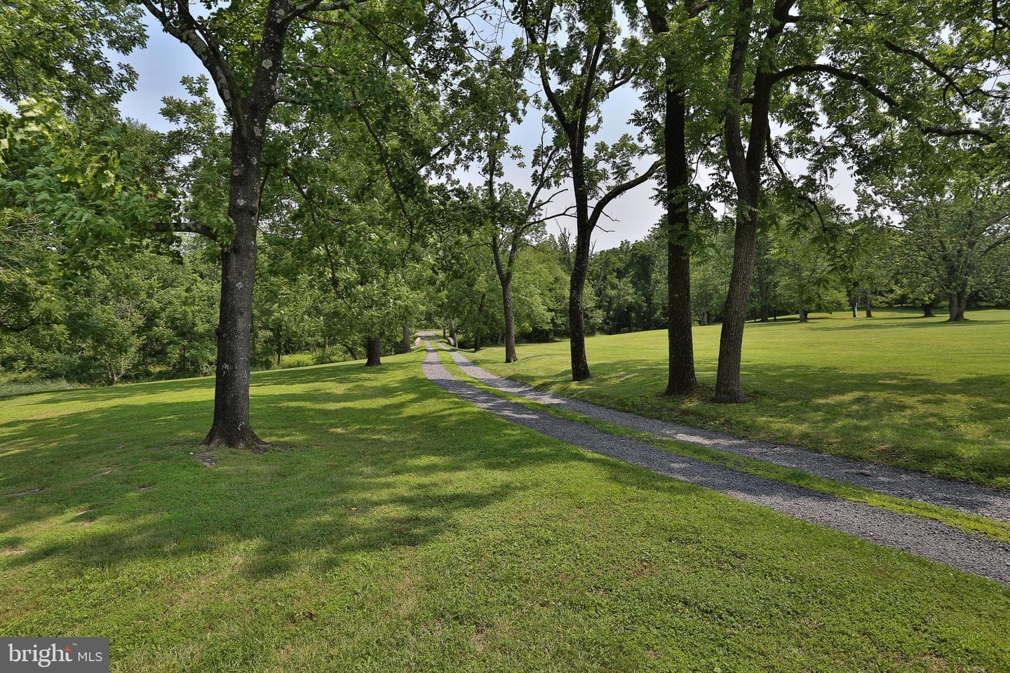 5792 Carversville Road photo 104