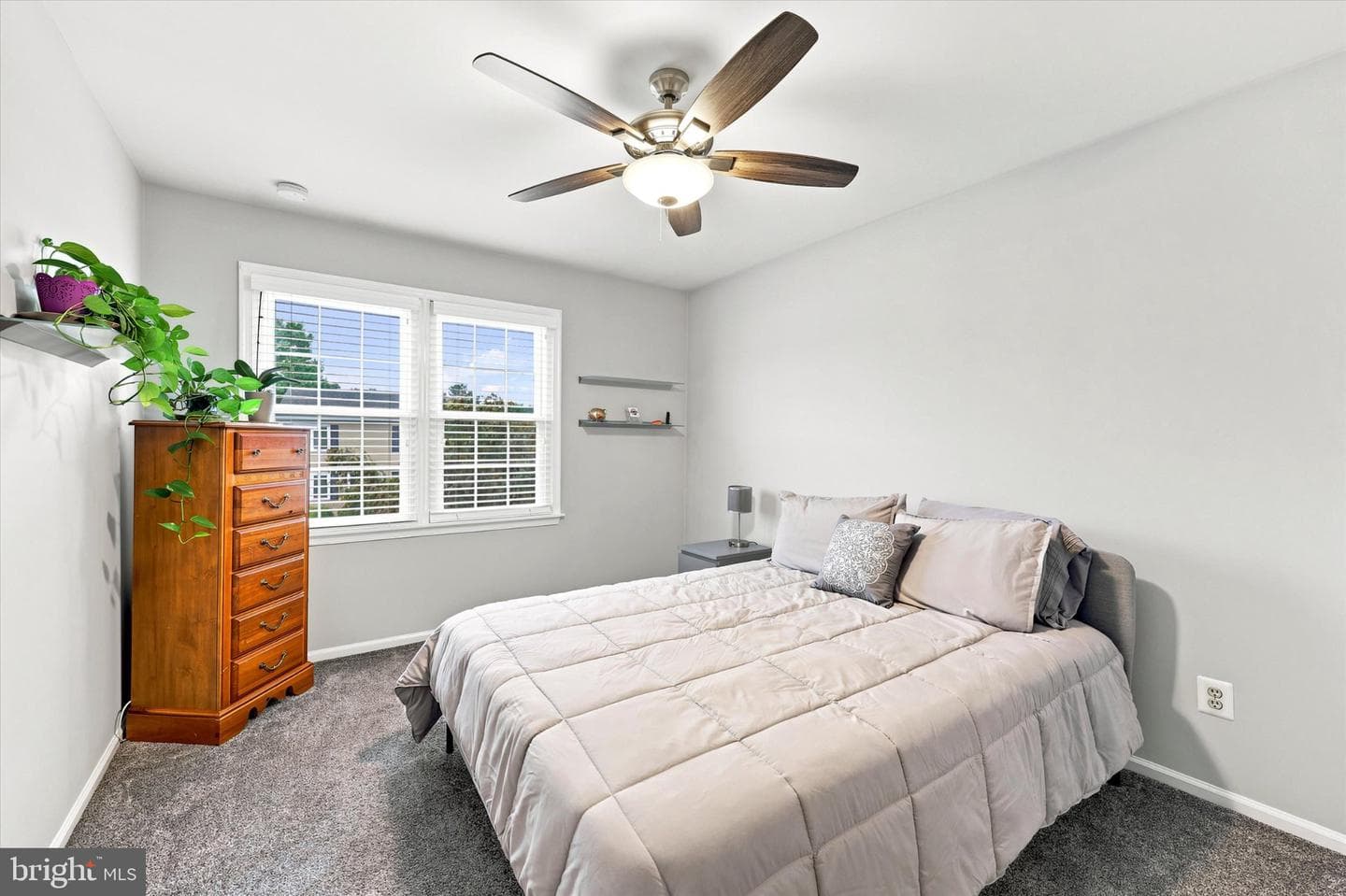 4168 Remo Crescent photo 14