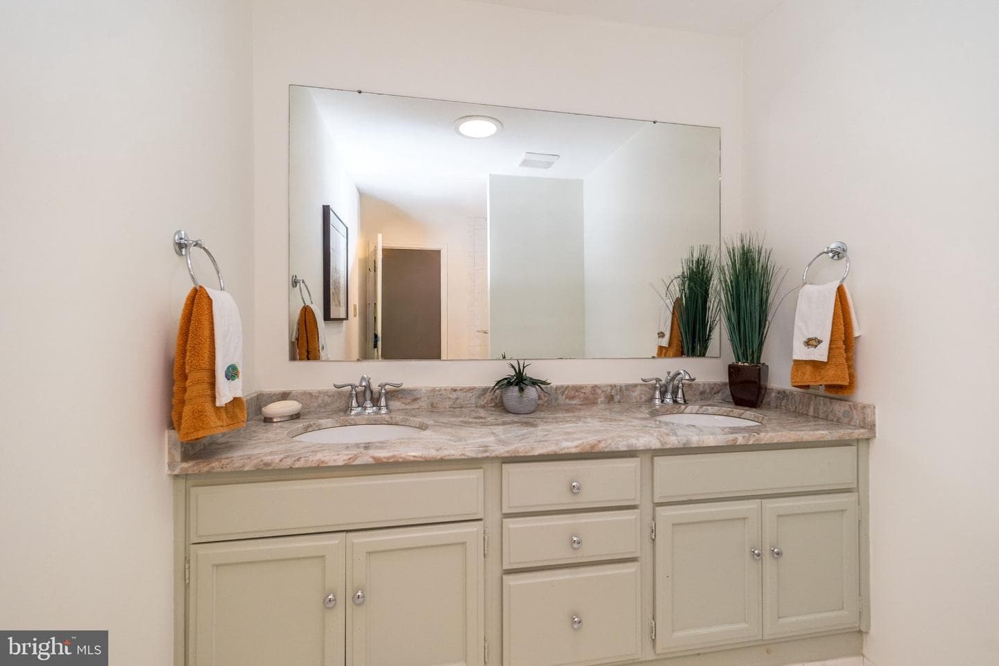 24 Springtree Lane photo 47