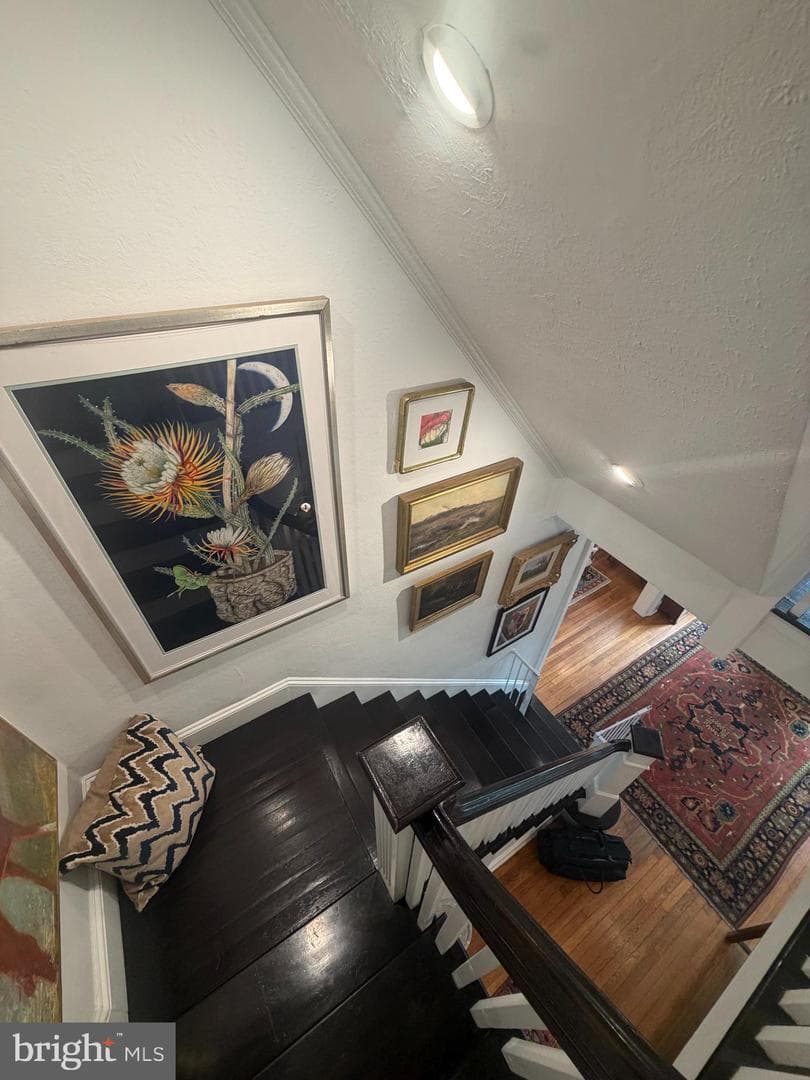 917 Greenway Avenue photo 39