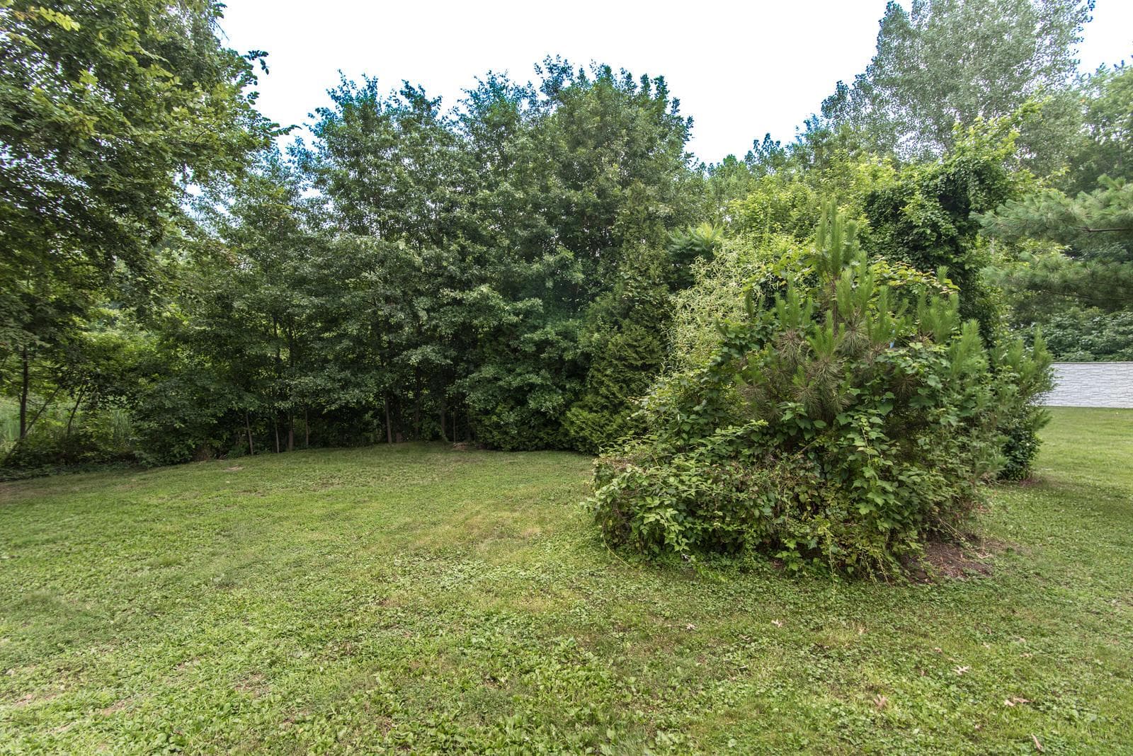 313 Wyoming Avenue photo 112