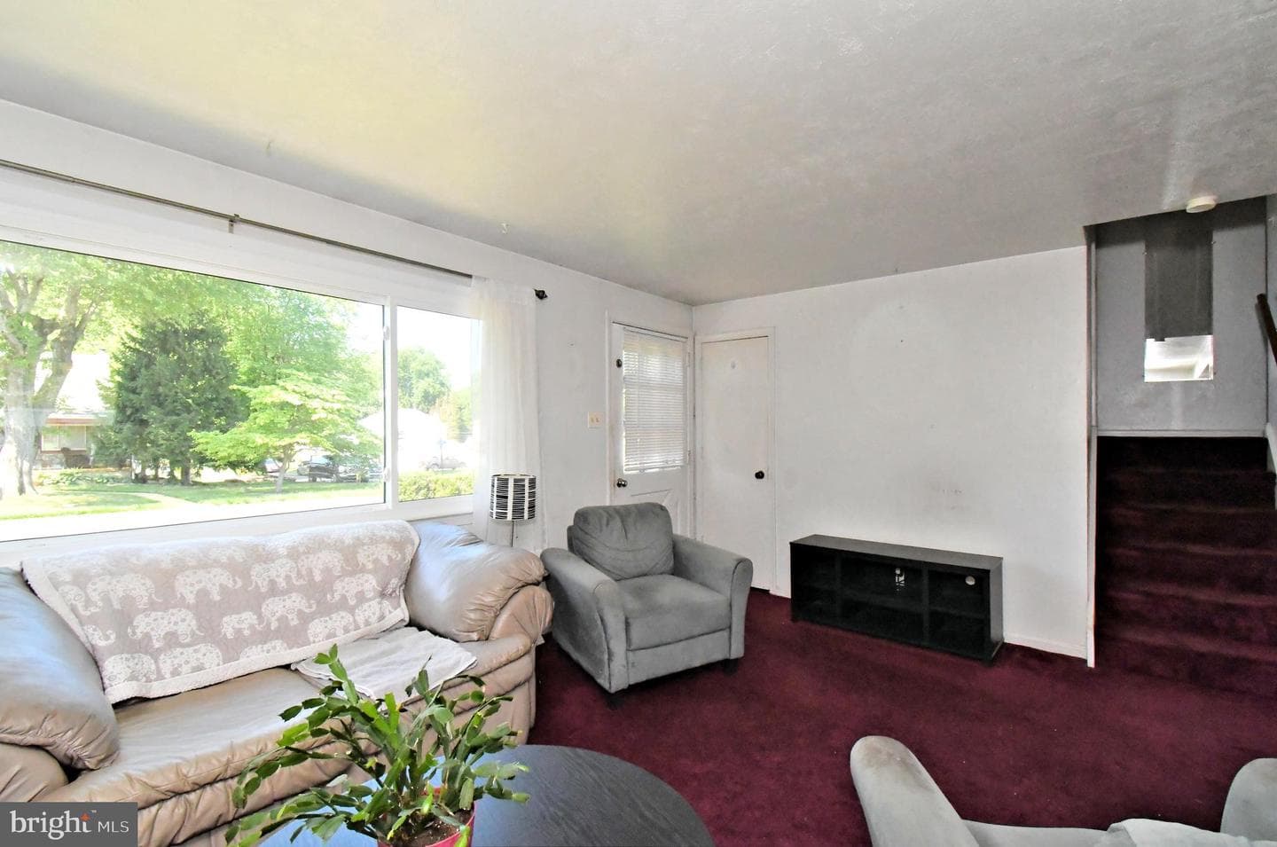 216 Rosewood Avenue photo 8