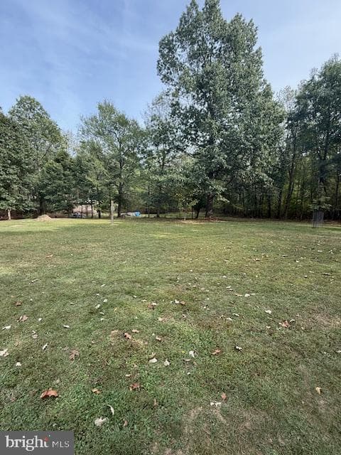 70 Dewalt Drive photo 29