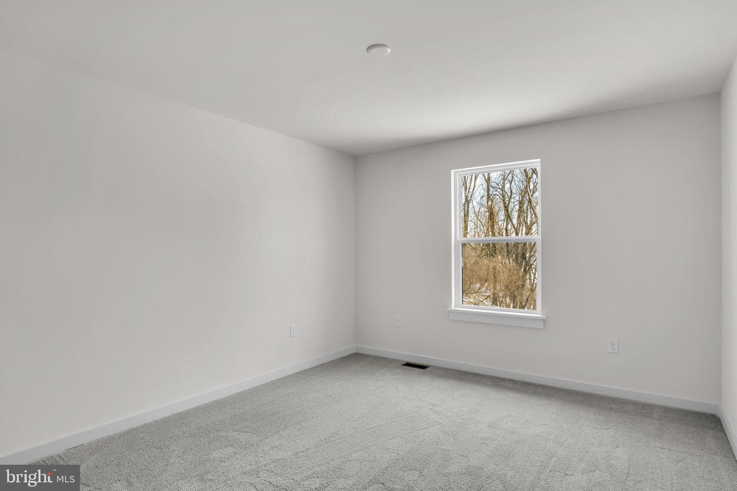 1012 Blackstone Run photo 12
