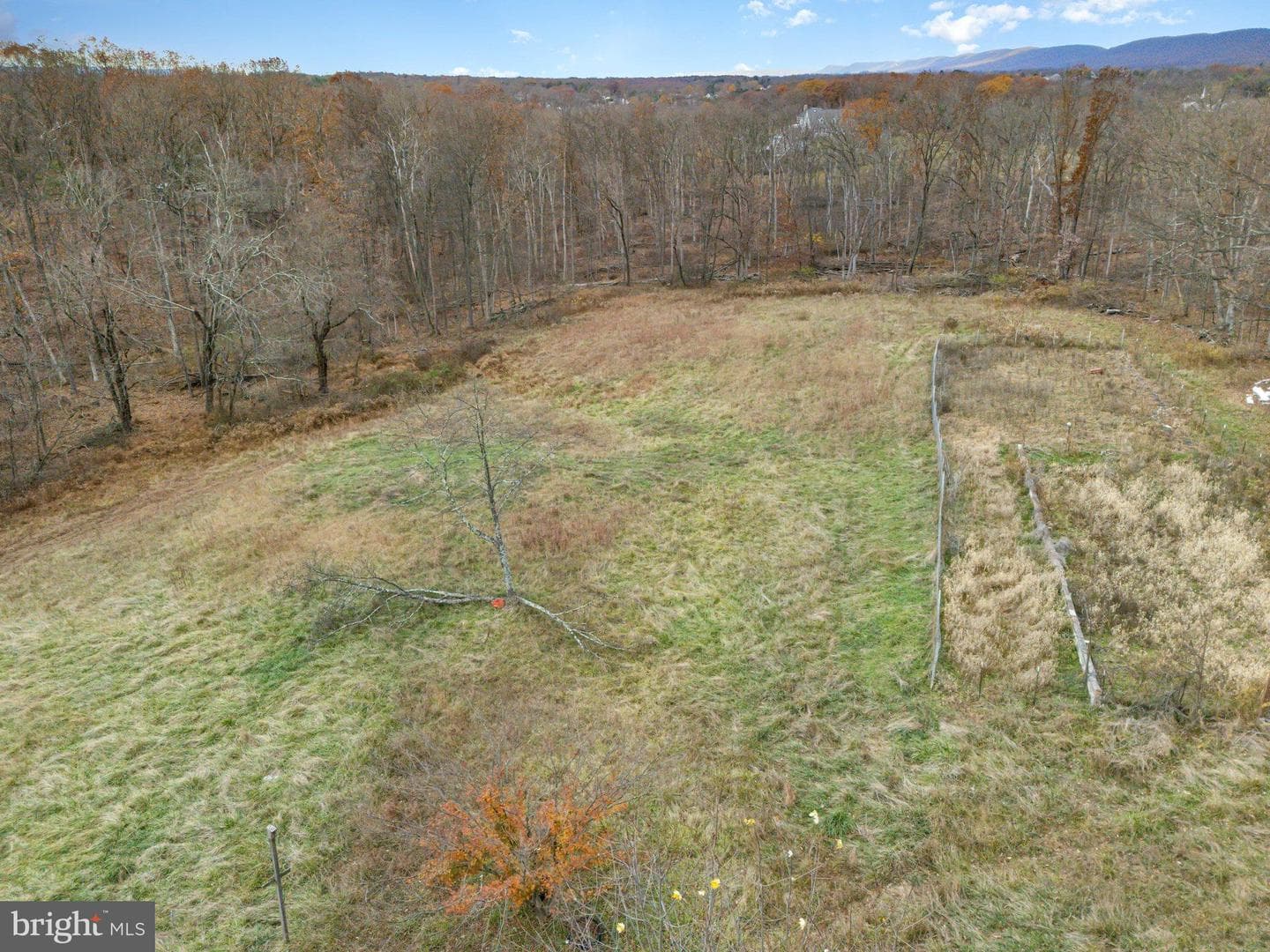93 Beard Road photo 31
