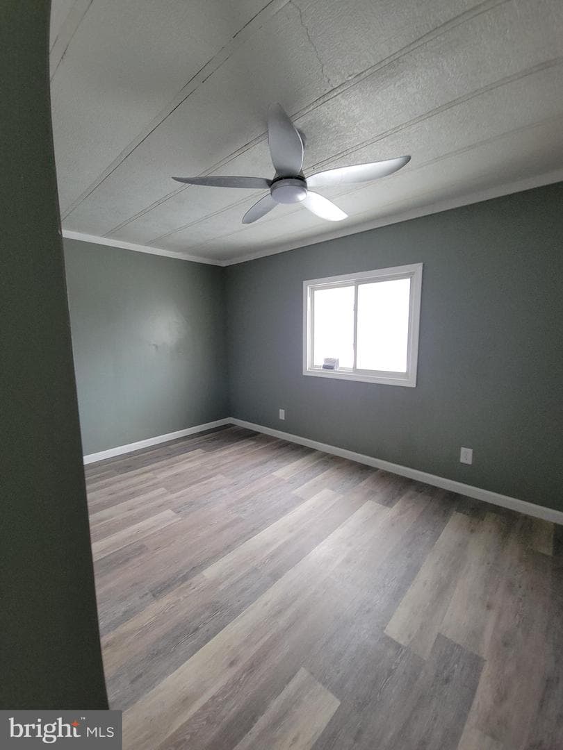 7 Buttonwood Lane photo 15