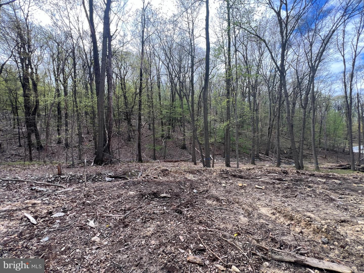 1163 Kuhn Road photo 29