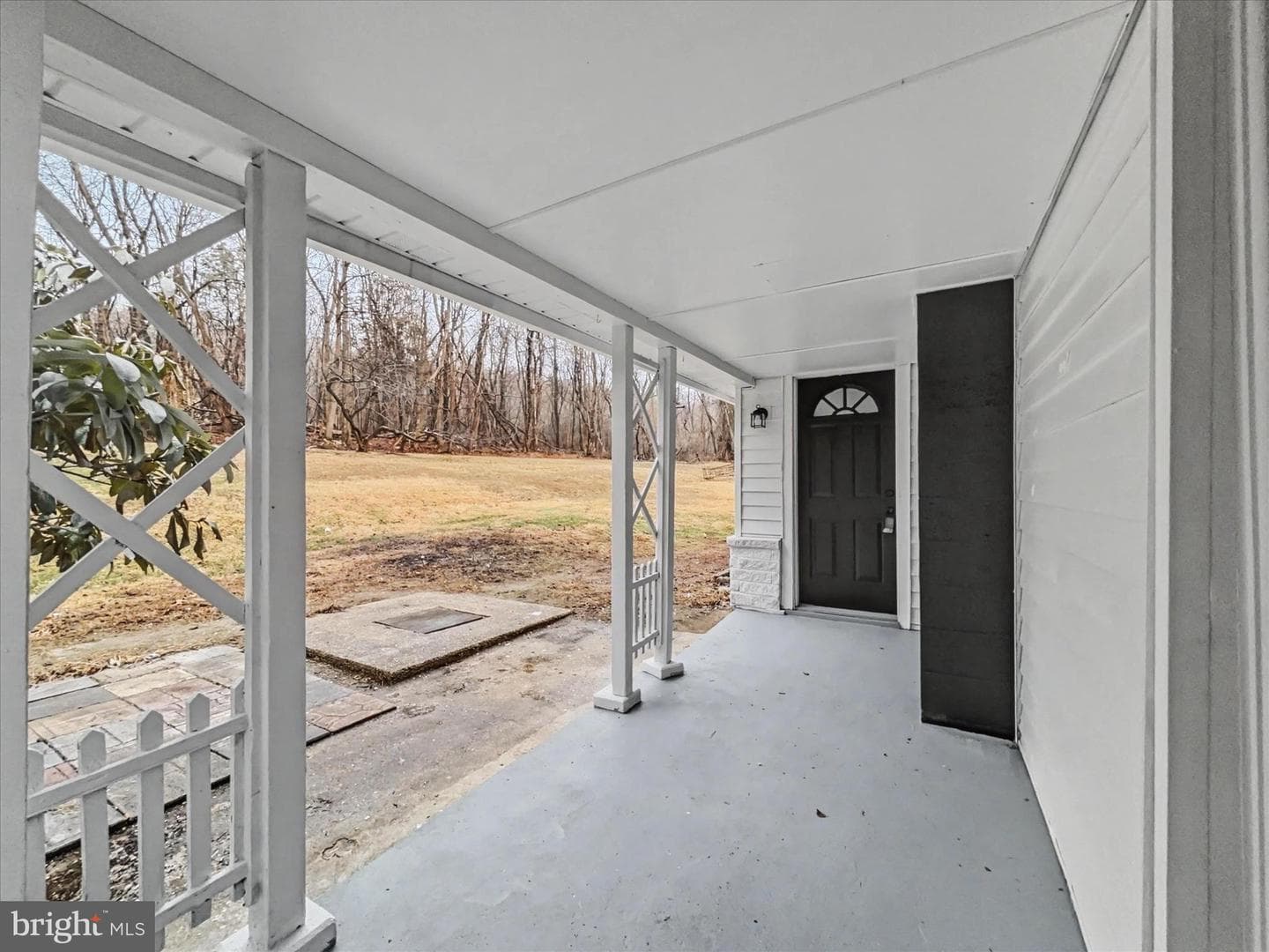 229 Hill Street photo 6