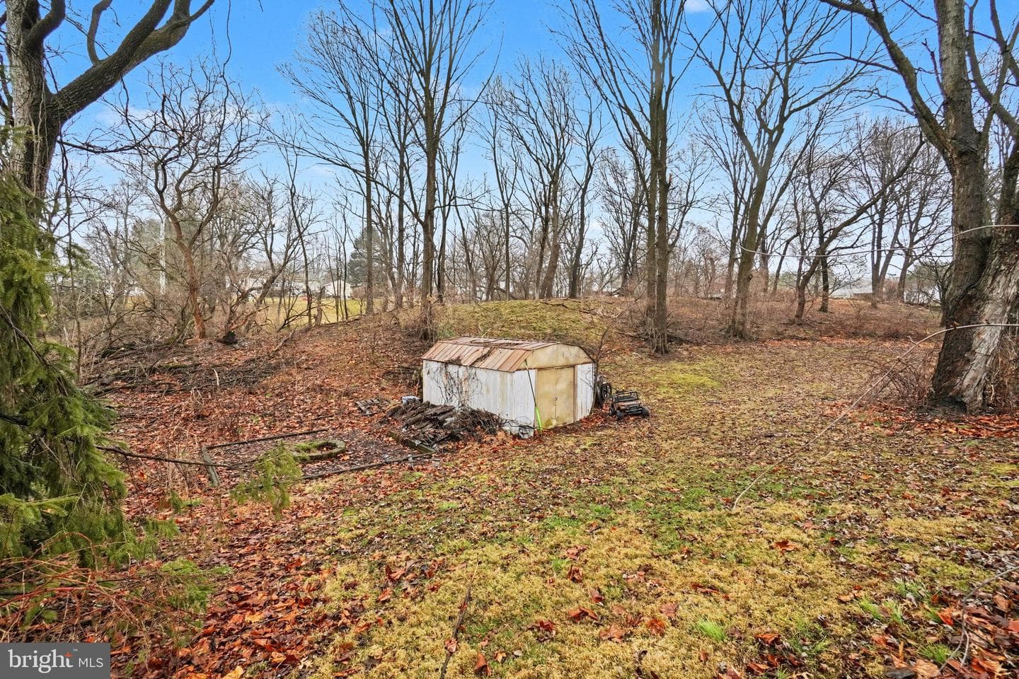 6406 Cannon Drive photo 28