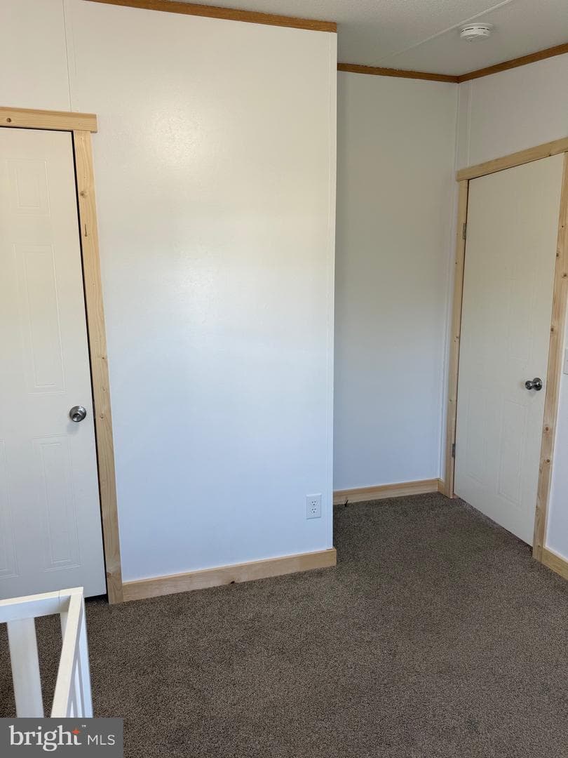 31 Saria Lane photo 15