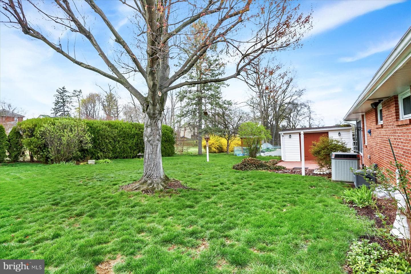 323 Evergreen Street photo 41
