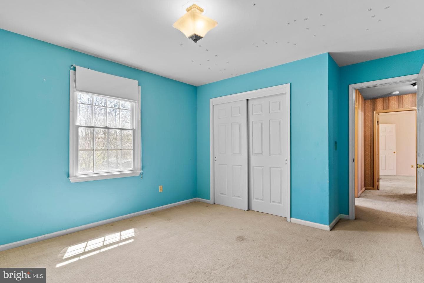 914 Maplewood Lane photo 25