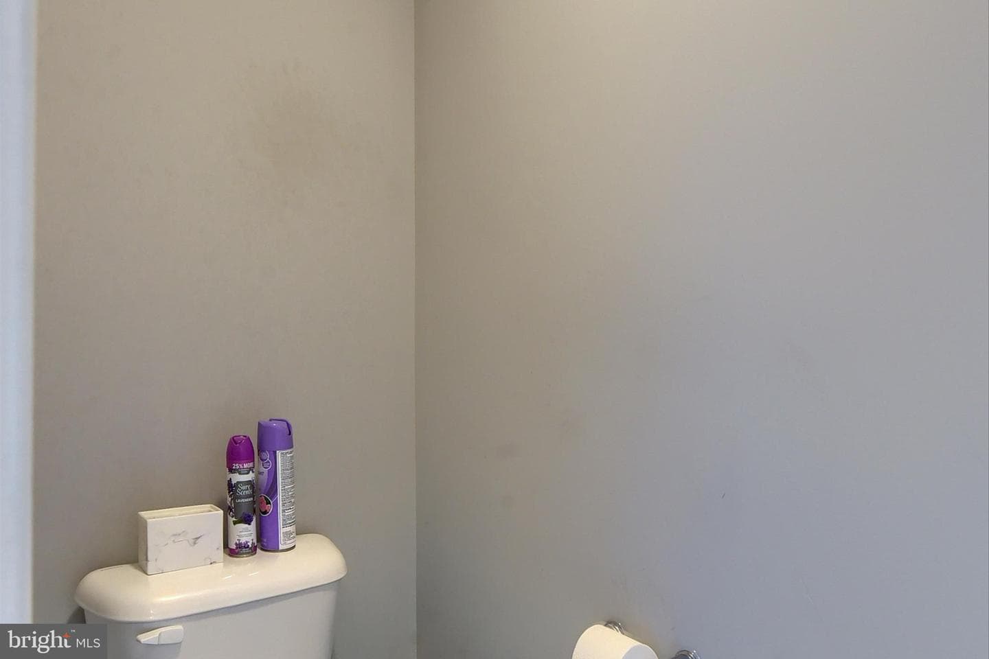 1541 Zestar Drive photo 32